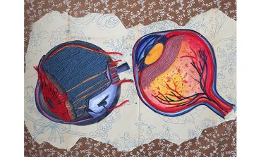 AnatoMia Resim Sergisi Şubat’ta Trump’ta, İnsan anatomisinin karmaşık güzelliği