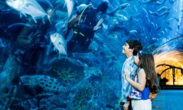 Emaar Akvaryum’dan mart ayında Dünya Su Günü’ne özel sürprizler