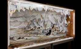 Çin Güncel Sanatının Ödüllü İsmi Xu Bing, Eserlerinin Üretim Sürecini Anlatıyor