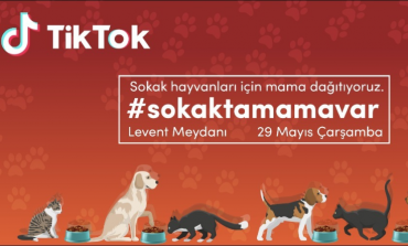 TikTok’tan sessiz dostlarımız için #sokaktamamavar kampanyası