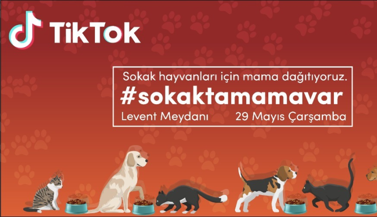 TikTok’tan sessiz dostlarımız için #sokaktamamavar kampanyası