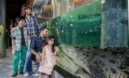 Okul Ara Tatilinde Eğlence Dolu Aktiviteler Emaar Akvaryum’da