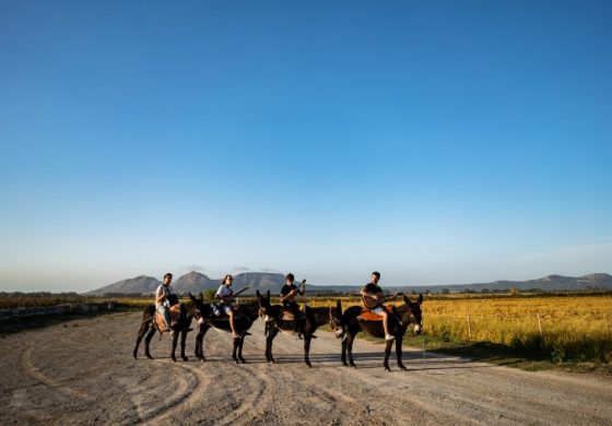 Ünlü Alman Rock Grubu AnnenMayKantereit Zorlu PSM’ye Geliyor