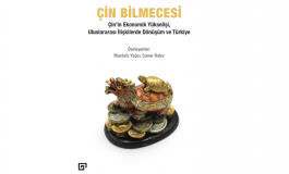 Çin Bilmecesi: Çin'in Ekonomik Yükselişi, Uluslararası İlişkilerde Dönüşüm ve Türkiye