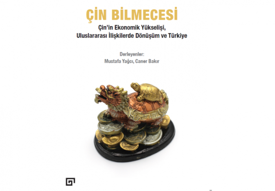 Çin Bilmecesi: Çin'in Ekonomik Yükselişi, Uluslararası İlişkilerde Dönüşüm ve Türkiye