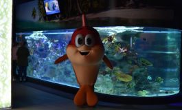 Eğlence Dolu Sömestr Etkinlikleri Emaar Akvaryum’da