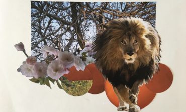 Çocuklar için sanat- ‘Nuh’un Gemisi Resim Atölyesi’, 8 Şubat Cumartesi Trump Art Gallery