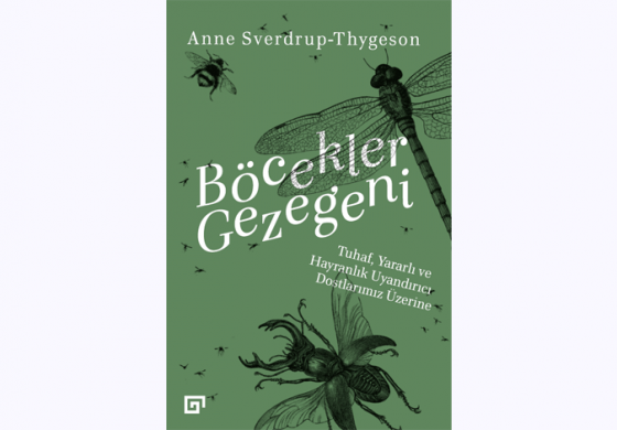 Böcekler Gezegeni: Tuhaf, Yararlı ve Hayranlık Uyandırıcı Dostlarımız Üzerine