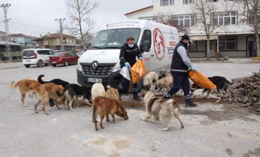 İBB, sokaktaki dostları unutmadı