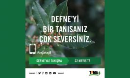 TEMA Vakfı, Uluslararası Biyoçeşitlilik Günü’nde yeni telefon uygulaması ‘Doğa Kaşifi’ni tanıttı