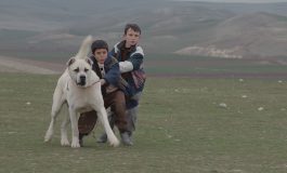 Kaan Müjdeci'nin Ödüllü Filmi “SİVAS” Online Film Platformu MUBI TÜRKİYE’de Yayında!