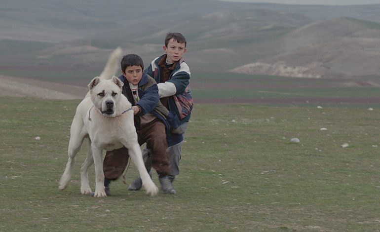 Kaan Müjdeci’nin Ödüllü Filmi “SİVAS” Online Film Platformu MUBI TÜRKİYE’de Yayında!