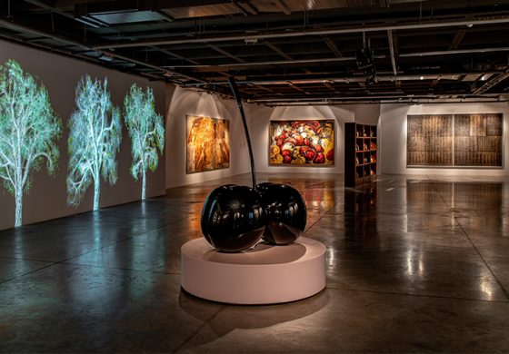 Selma Gürbüz’ün yapıtlarındaki kadın imgeleri üzerine bir söyleşi