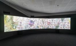 “İkilikleri Kırmak: Kovid Döneminde Sanat Üzerine Düşünceler”