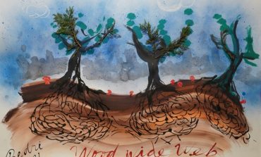 İstanbul Modern’den 23 Nisan’da çocuklara özel bir proje: Sanatla Büyüyen Ağacım