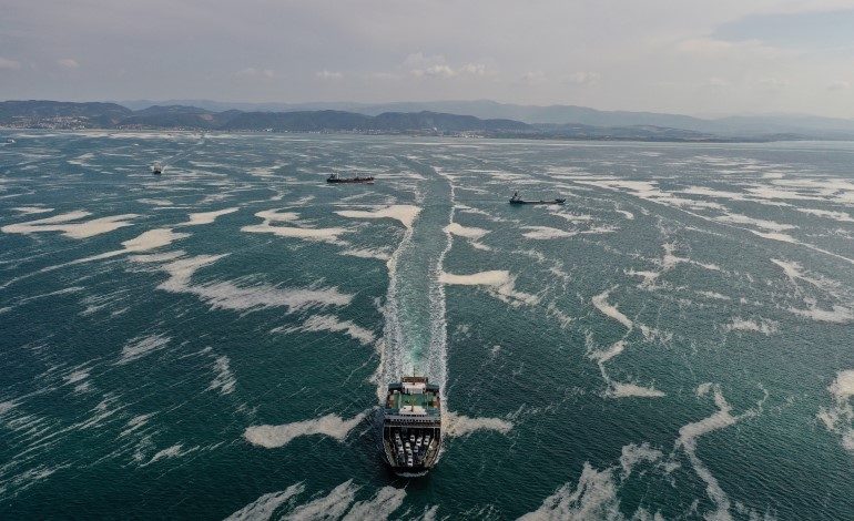 İstanbul Araştırmaları Enstitüsü’nden Müsilaj Paneli