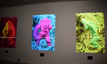 “After the Apes” Sergisi Grand Hyatt İstanbul’da