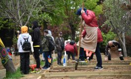 KADIKÖY’DE BOSTANLAR ÇOĞALIYOR! ŞİMDİ ACIBADEM VE GÖZTEPE’DE
