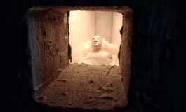 UYKU TEMASINA ODAKLANAN KOYUN KOYUNA BAŞLIKLI YENİ GRUP SERGİSİ ARTER’DE ZİYARETE AÇILDI!