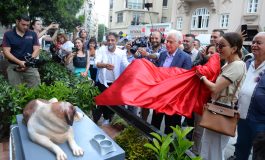 Nişantaşı'nın Efsanesi Tommy Ölümsüz Oluyor