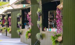 ÖDÜLLÜ PROJE “ECO LOVE FEST” İN İKİNCİSİ 14-18 EYLÜL TARİHLERİ ARASINDA YENİDEN ZORLU’DA