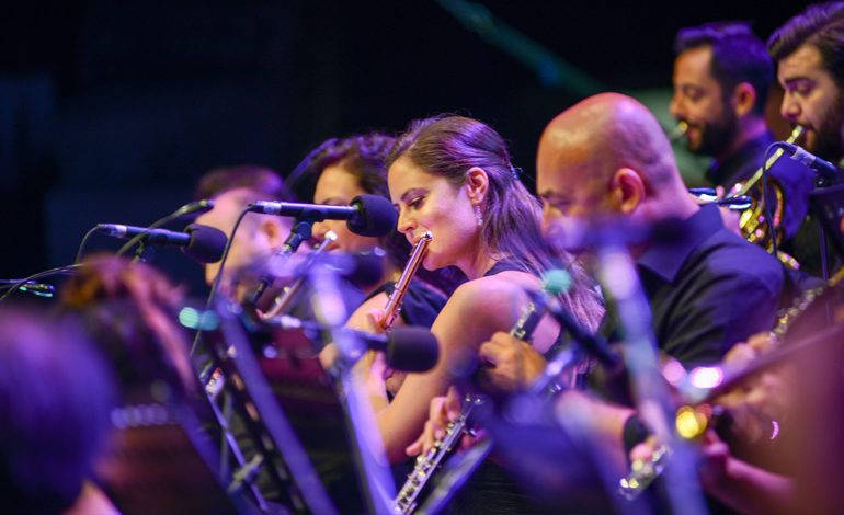 Limak Filarmoni Orkestrası, bu kez sokak hayvanları için bir araya gelecek