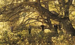 Brit-rock’un efsane grubu Travis, Garanti BBVA sponsorluğunda 19 Ekim’de Zorlu PSM’de