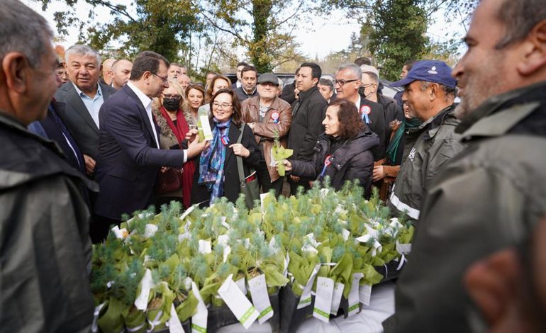 BÜYÜKDERE FİDANLIĞI CANLANACAK ÜRETİLECEK FİDELER VE TOHUMLAR İSTANBULLU ÇİFTÇİLERE ÜCRETSİZ DAĞITILACAK