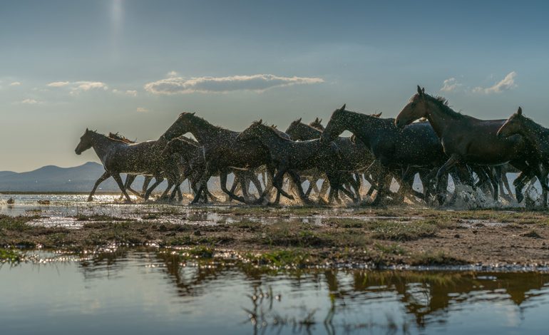 Enis Öncüoğlu “FORM_AT” sergisi ile Goba Art&Design’da