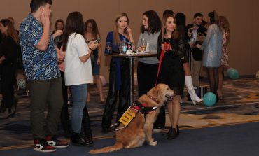 Rehber Köpek Adayı Yavrulara Özel Parti