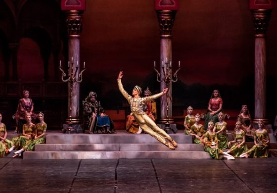 AKM’de LA BAYADÈRE Balesinin Prömiyer Coşkusu!