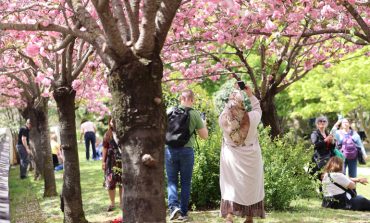 BALTALİMANI JAPON BAHÇESİ’NDE EŞSİZ BİR İLKBAHAR DENEYİMİ