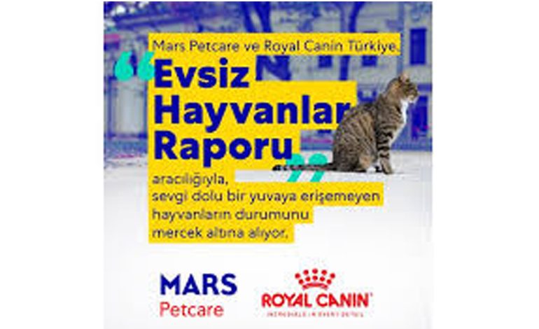 Mars Petcare ve Royal Canin, “Evsiz Hayvanlar Raporu” aracılığıyla sevgi dolu bir yuvaya erişemeyen hayvanların durumunu mercek altına alıyor