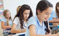 Anadolu Lisesi Seçerken Nelere Dikkat Edilmeli?