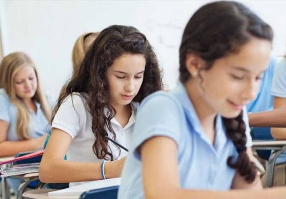Anadolu Lisesi Seçerken Nelere Dikkat Edilmeli?