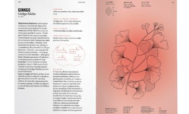 Institut français Türkiye'den Yeni Sergi “Karşılaşmanın Meyveleri”