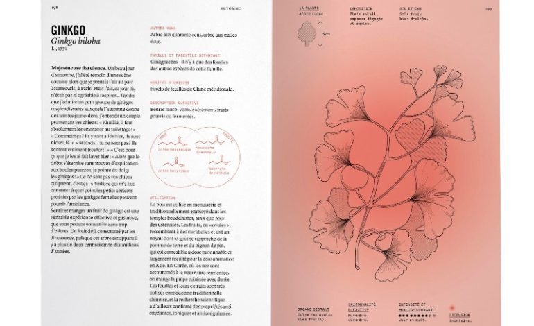 Institut français Türkiye’den Yeni Sergi “Karşılaşmanın Meyveleri”