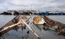 EKOLOJİ VE HAFIZANIN İZİNDEKİ ART ROOMS KARMA SERGİSİ İÇİN SON GÜN 17 ŞUBAT!