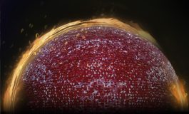 İSTANBUL DEVLET OPERA VE BALESİ CARMINA BURANA İLE İZLEYİCİSİNİ UNUTULMAZ BİR YOLCULUĞA ÇIKARACAK