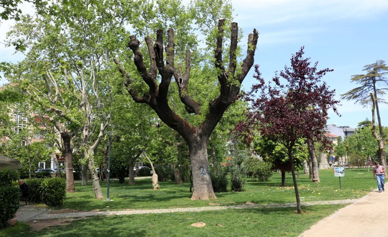 AĞUSTOS AKŞAMLARINDA İSTANBUL’UN PARKLARI MÜZİKLE BULUŞUYOR!
